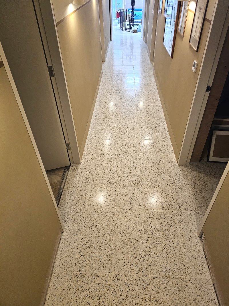 Terrazzo Floor Grout Haze After Renovation Barnes Terrazzo Floor Grout Haze After Renovation Barnes