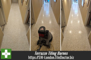 Terrazzo Tile Grout Haze Removal Barnes