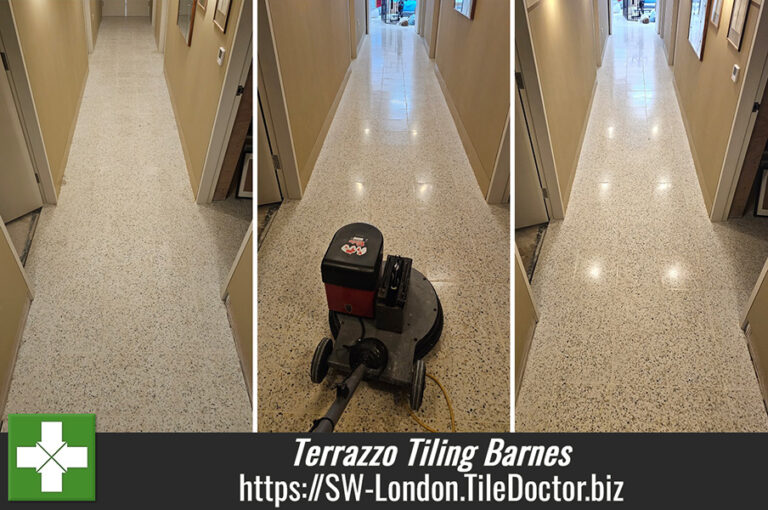Grout-Stained Terrazzo Hallway Floor Renovated in Barnes - South West ...